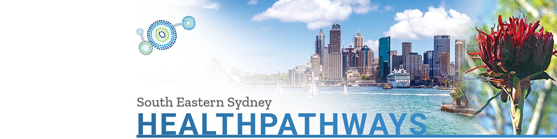 HealthPathways Program